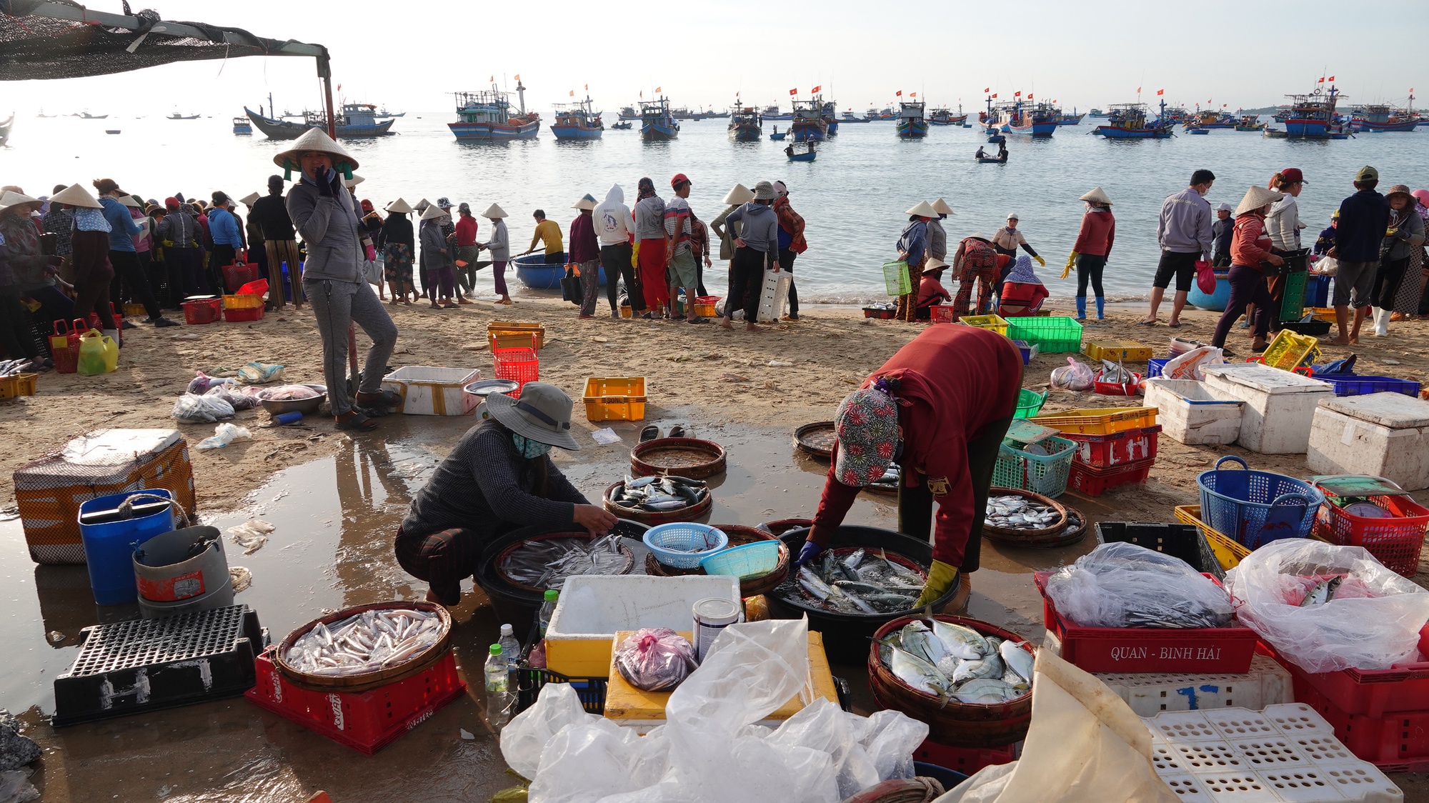 Quảng Ngãi: Buổi sớm mùa đông ở chợ cá của bãi ngang vùng biển Phước Thiện  - Ảnh 27.
