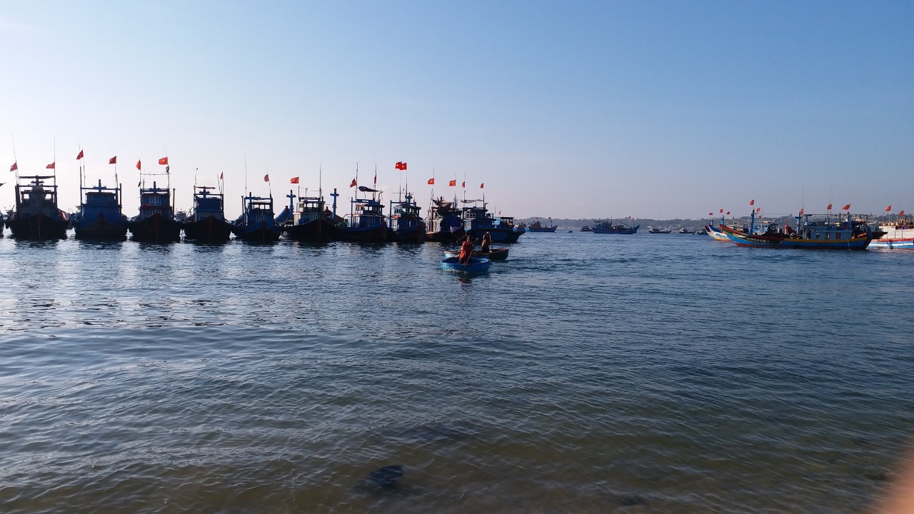 Quảng Ngãi: Buổi sớm mùa đông ở chợ cá của bãi ngang vùng biển Phước Thiện  - Ảnh 31.