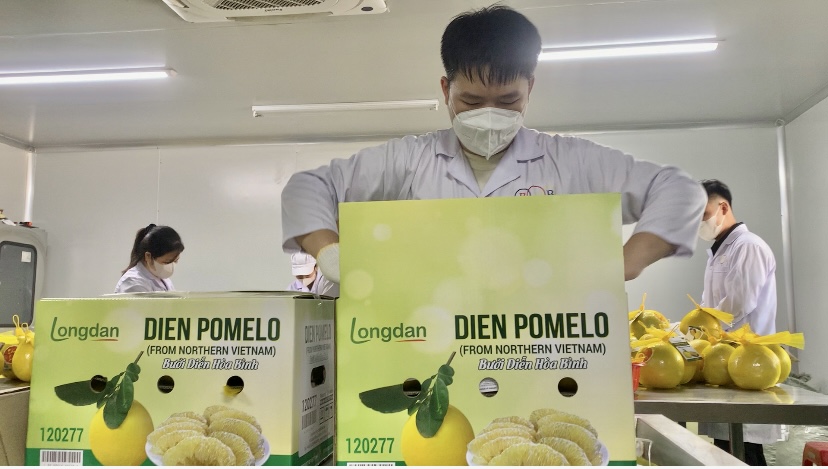 Cận cảnh dây chuyền xử lý bảo quản bưởi Diễn 4 tháng, xuất khẩu đi châu Âu - Ảnh 5. Cận cảnh dây chuyền xử lý bảo quản bưởi Diễn 4 tháng, xuất khẩu đi châu Âu - Ảnh 5.