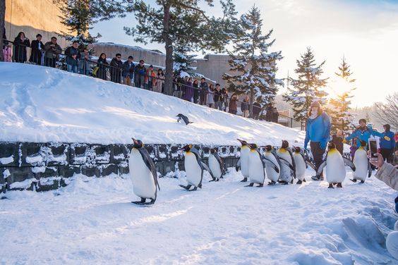 Khám phá Hokkaido: Thiên đường tự nhiên, hoang sơ và văn hóa độc đáo  - Ảnh 2.