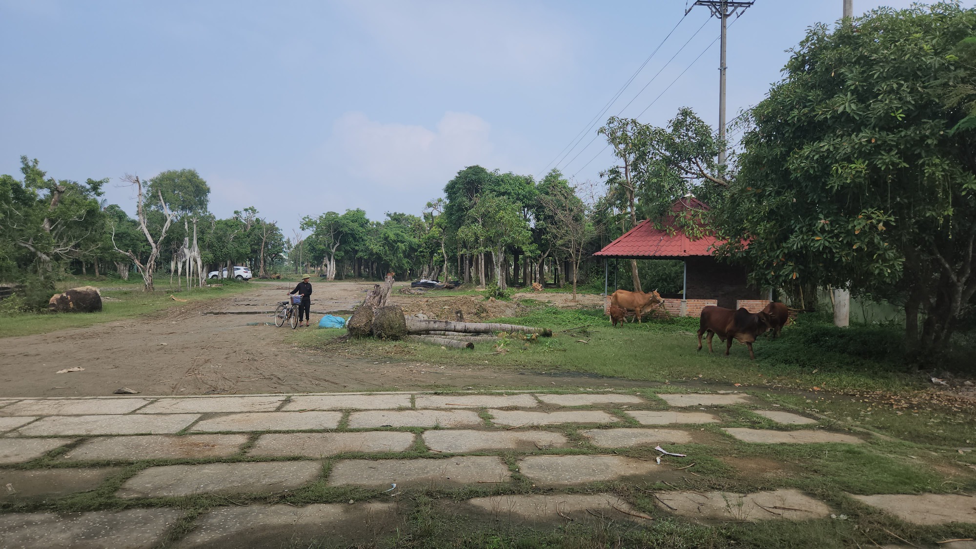 Khu du lịch sinh thái 26 tỉ đồng hoang tàn, thành nơi chăn thả trâu bò - Ảnh 14.