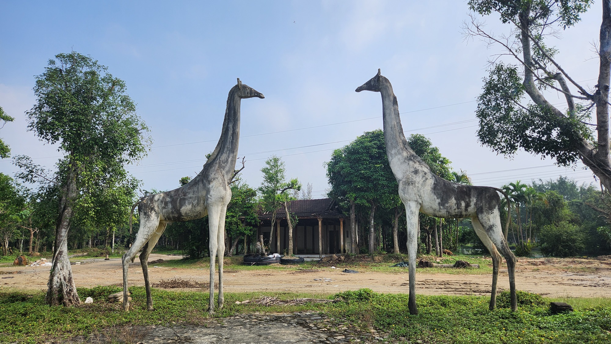 Khu du lịch sinh thái 26 tỉ đồng hoang tàn, thành nơi chăn thả trâu bò - Ảnh 6.