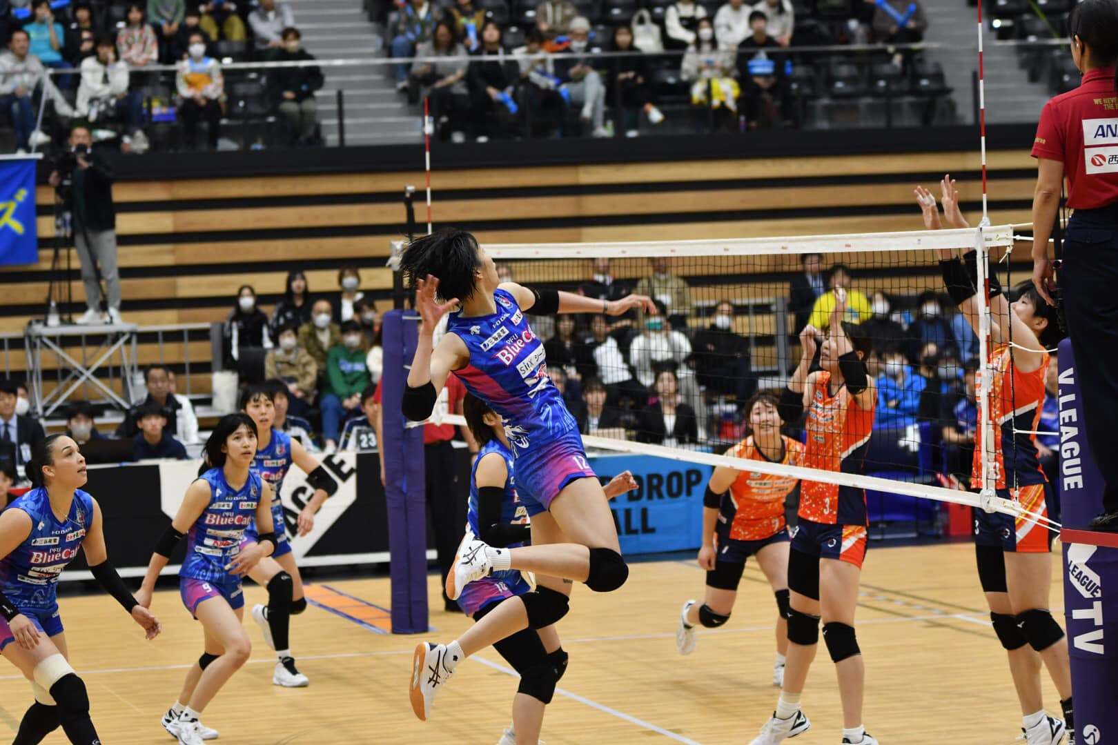 'Chân dài' bóng chuyền Thanh Thúy rực sáng ở Nhật Bản, giành danh hiệu xuất sắc nhất - Ảnh 2.