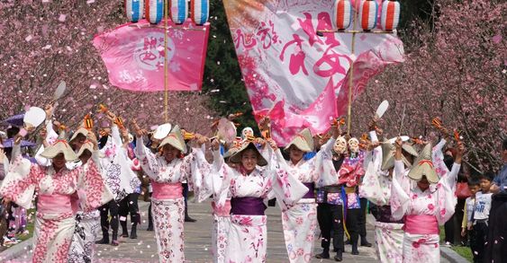 Cùng lên kế hoạch du lịch mùa xuân tới xứ hoa anh đào - Ảnh 2. Cùng lên kế hoạch du lịch mùa xuân tới xứ hoa anh đào - Ảnh 2.