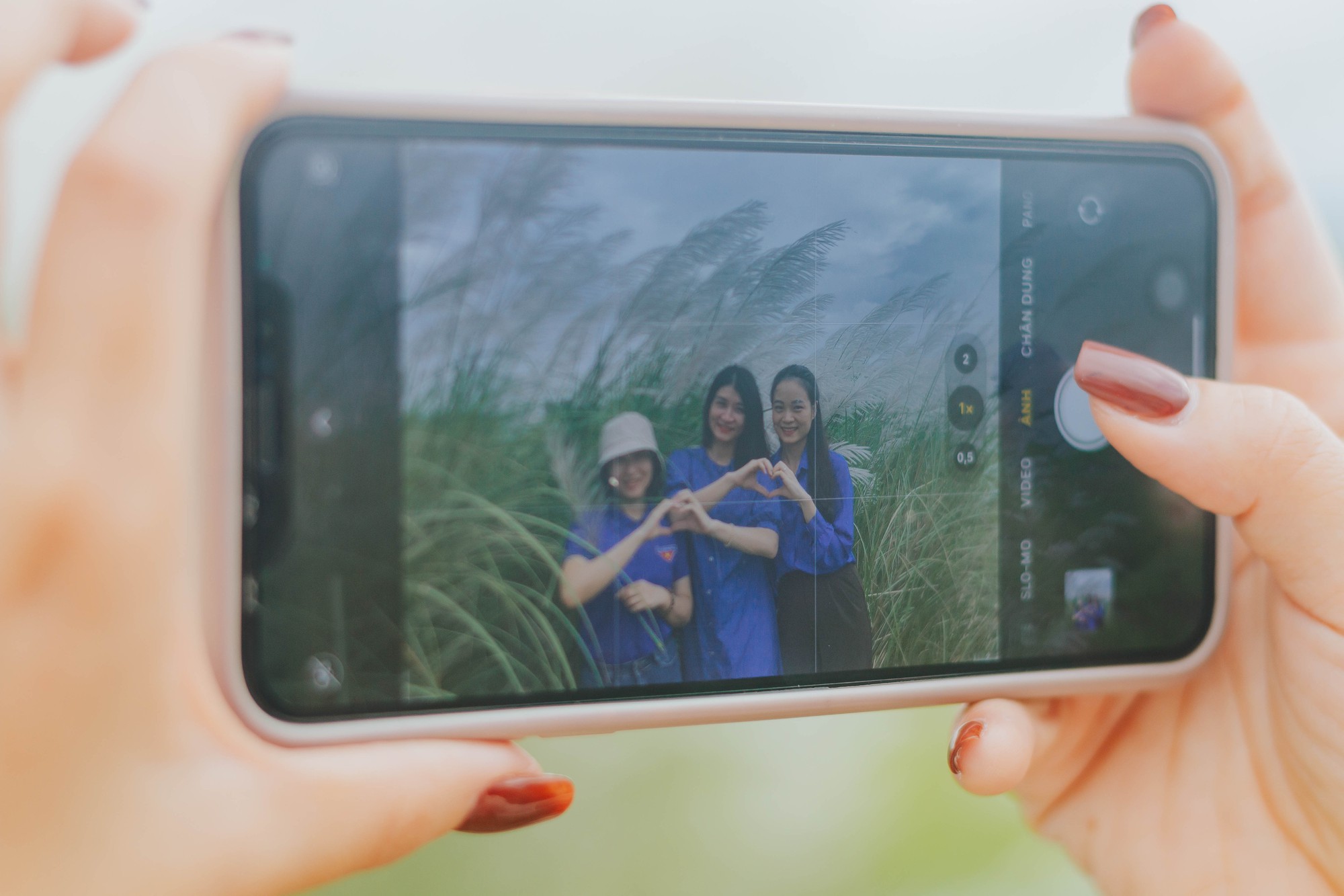 Bạn trẻ check - in mùa lau nở giữa cánh đồng - Ảnh 4. Bạn trẻ check - in mùa lau nở giữa cánh đồng - Ảnh 4.