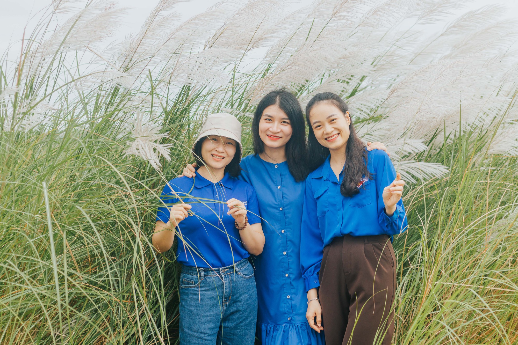 Bạn trẻ check - in mùa lau nở giữa cánh đồng - Ảnh 3. Bạn trẻ check - in mùa lau nở giữa cánh đồng - Ảnh 3.