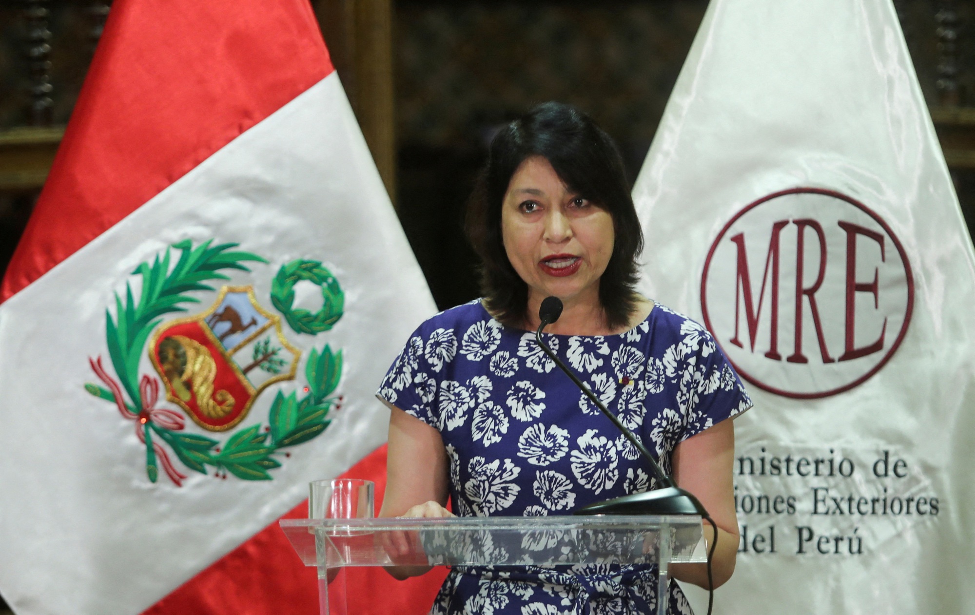 Ngoại trưởng Peru từ chức giữa tranh cãi về chuyến thăm Mỹ của tổng thống - Ảnh 1.