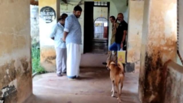 Cảm động chuyện chú chó đợi chủ trước cửa nhà xác ở Ấn Độ - Ảnh 1.