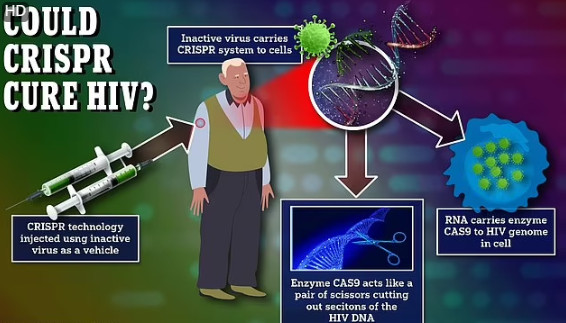 Đột phá: Thuốc chữa khỏi HIV sẽ có trong vài tháng nữa? - Ảnh 2.