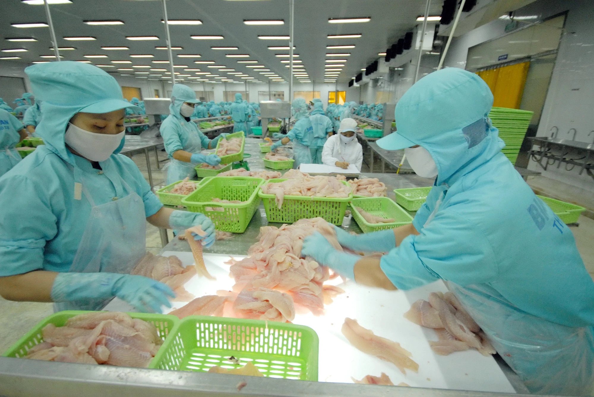 Hàng hóa Việt Nam sang Trung Quốc tiếp tục tăng - Ảnh 1. Hàng hóa Việt Nam sang Trung Quốc tiếp tục tăng - Ảnh 1.