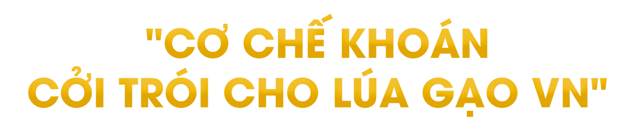 GS-TS Võ Tòng Xuân: Đích đến lớn nhất của việc làm ra giống lúa tốt là để nông dân giàu có hơn- Ảnh 7.