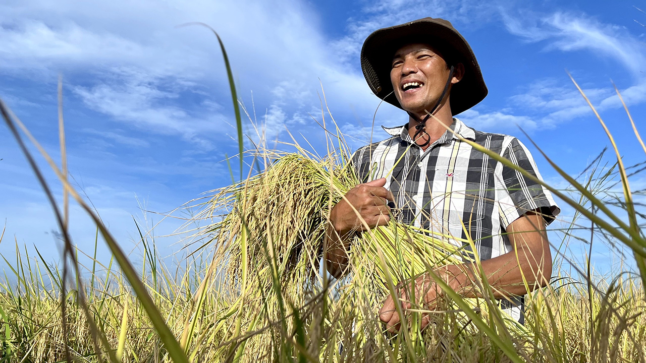 GS-TS Võ Tòng Xuân: Đích đến lớn nhất của việc làm ra giống lúa tốt là để nông dân giàu có hơn- Ảnh 11.
