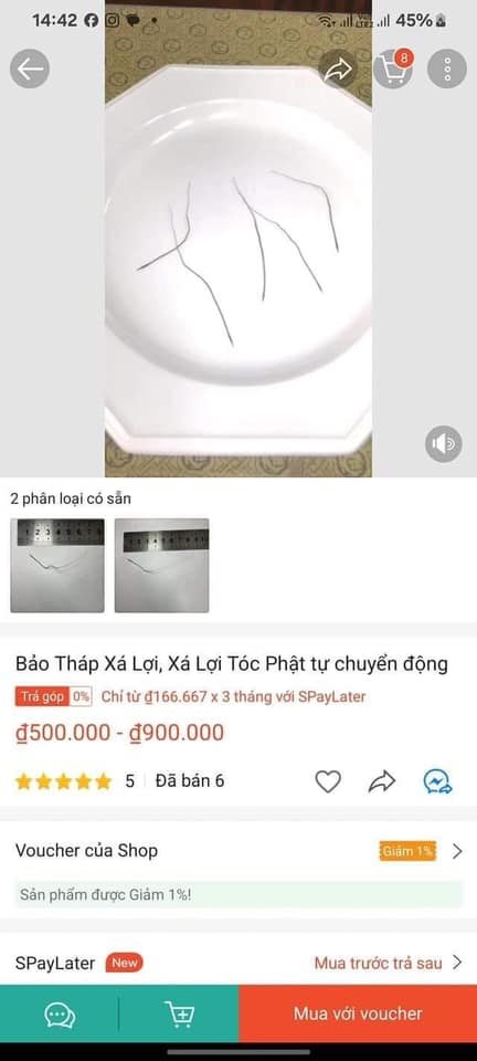 'Xá lợi tóc Đức Phật' được trả về cố quốc?- Ảnh 3. 'Xá lợi tóc Đức Phật' được trả về cố quốc?- Ảnh 3.