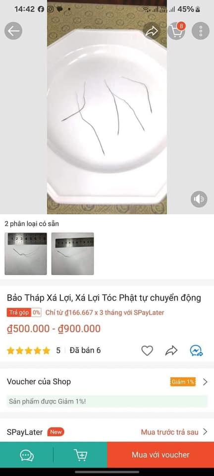 Xá lợi tóc Đức Phật 2.600 năm trưng bày ở chùa Ba Vàng gây hoài nghi- Ảnh 4.