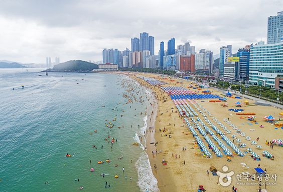 Những bãi biển đẹp nhất Hàn Quốc mà bạn nên đến một lần trong đời  - Ảnh 5.