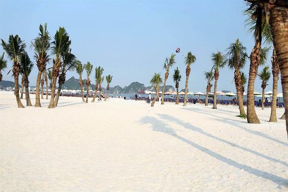 Kinh nghiệm du lịch thành phố Hạ Long cực 'chất' - Ảnh 3. Kinh nghiệm du lịch thành phố Hạ Long cực 'chất' - Ảnh 3.