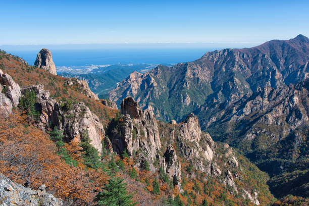 Những ngọn núi phơi sương đẹp như tranh vẽ ở Hàn Quốc  - Ảnh 1.