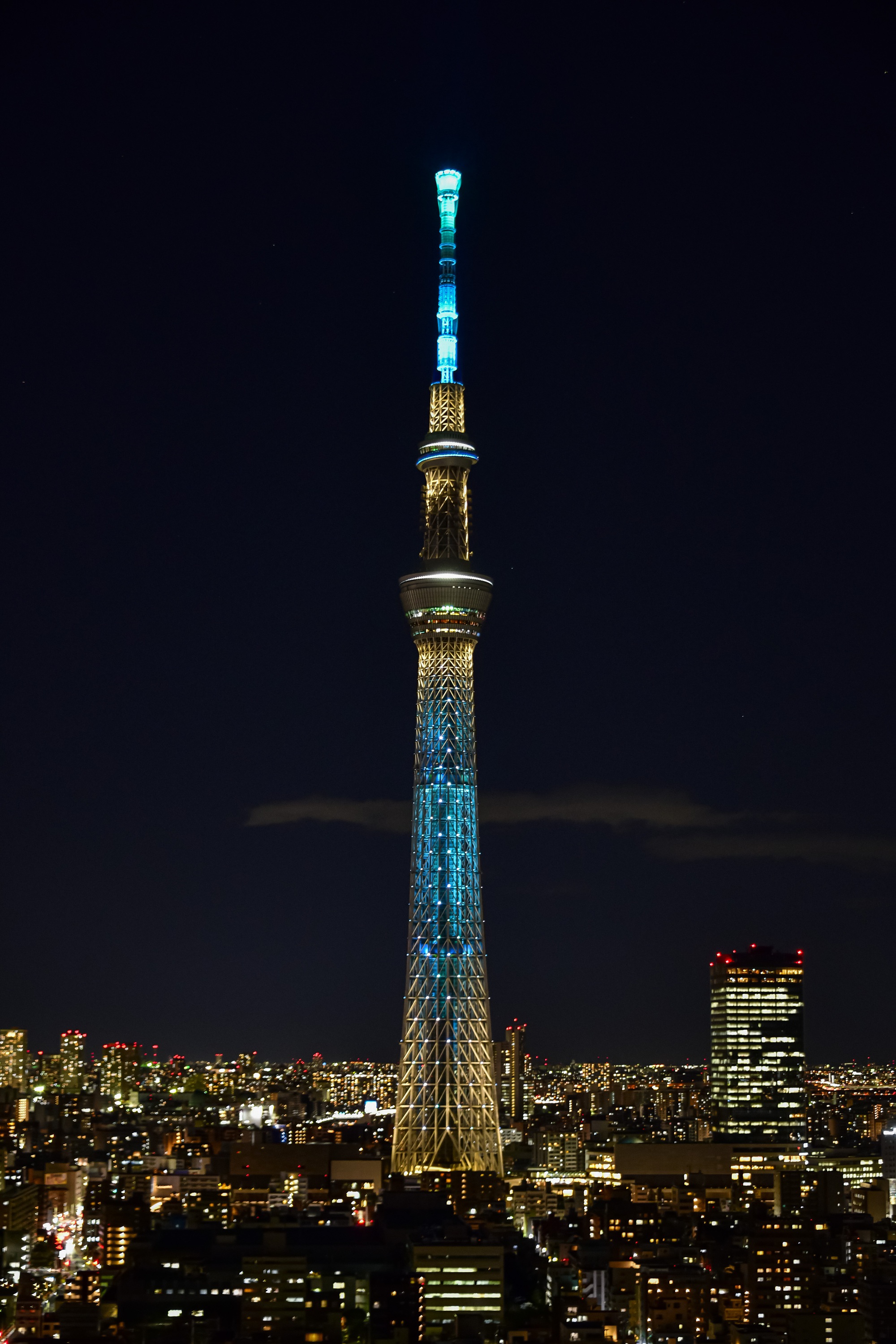 日本の多くの大規模プロジェクトが新しい照明技術で「変革」されています - 写真 1。 日本の多くの大規模プロジェクトが新しい照明技術で「変革」されています - 写真 1。