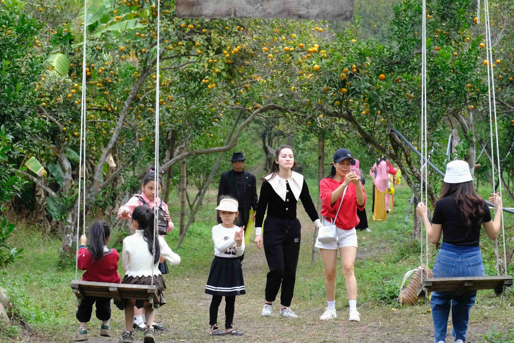 People flock to Van Don orange festival - Photo 7.