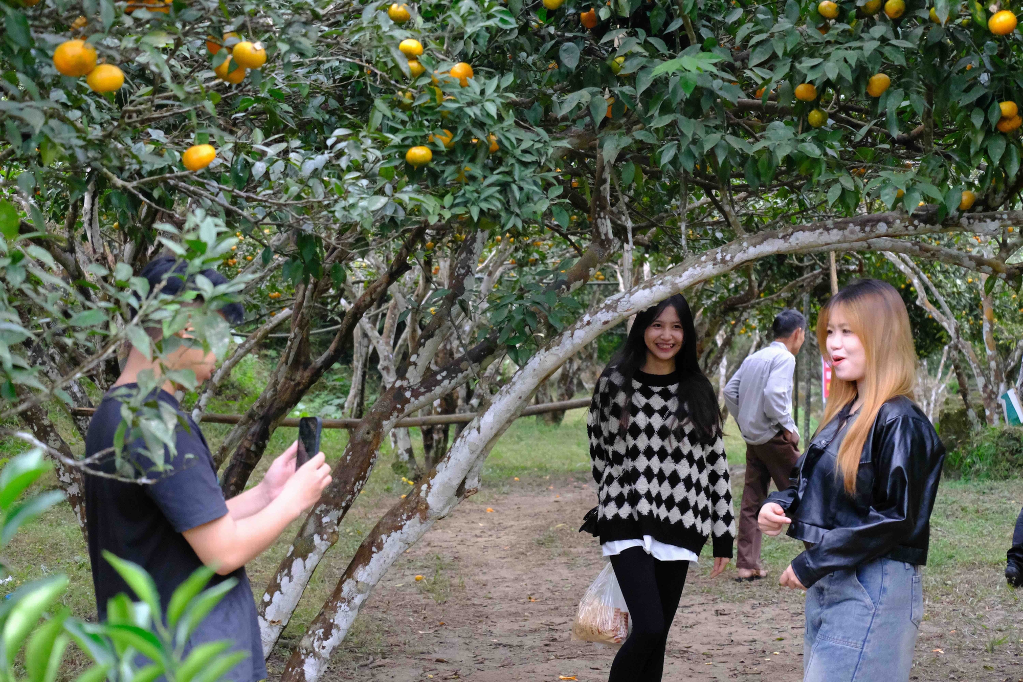 People flock to Van Don orange festival - Photo 8.