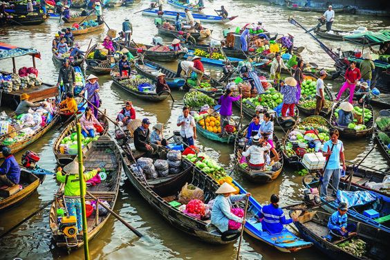 Khám phá Cần Thơ: Trái tim của Đồng Bằng Sông Cửu Long  - Ảnh 1.