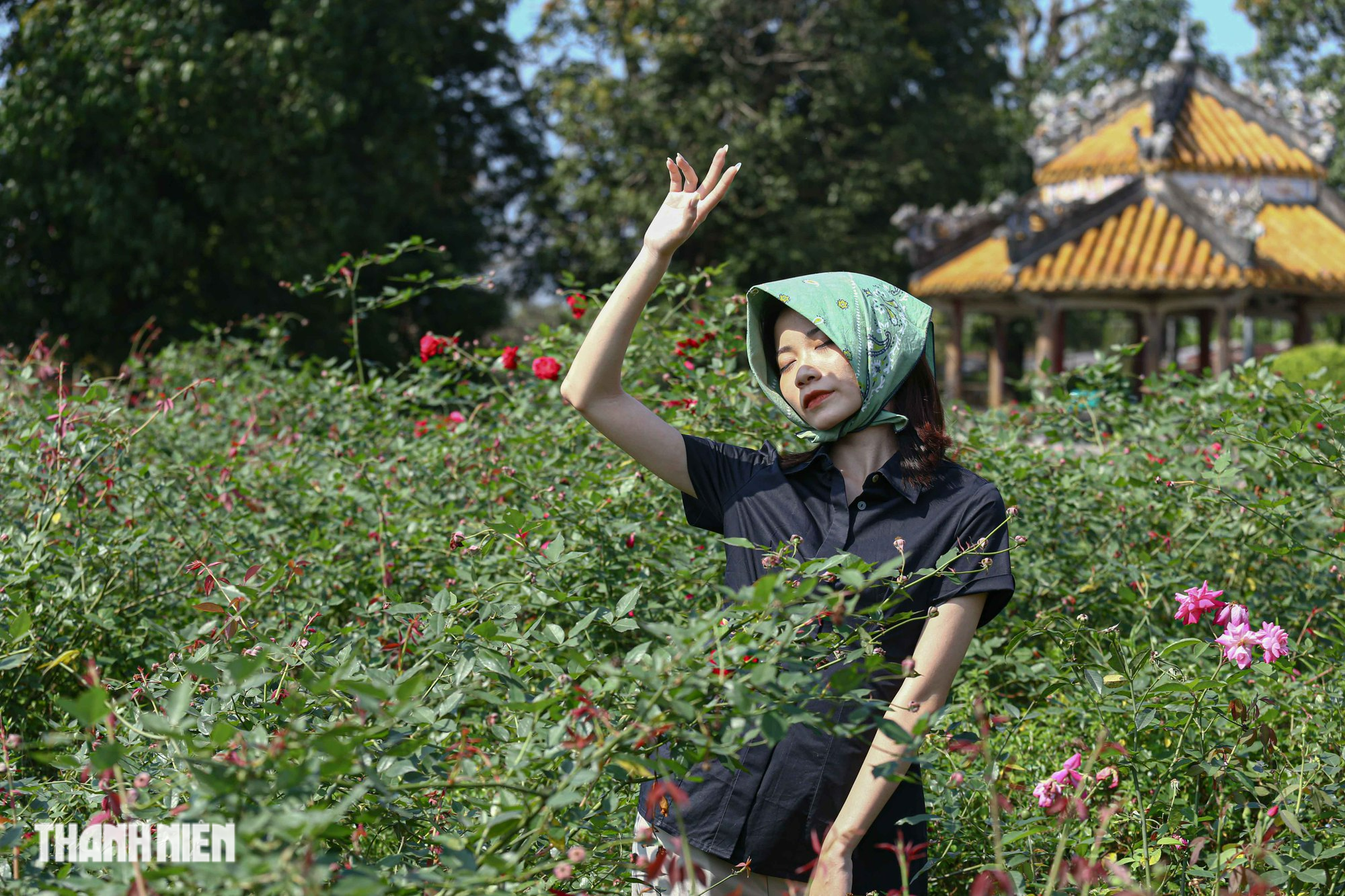 'Lạc' vào vườn hồng cổ từng bị lãng quên trong hoàng thành Huế - Ảnh 9.