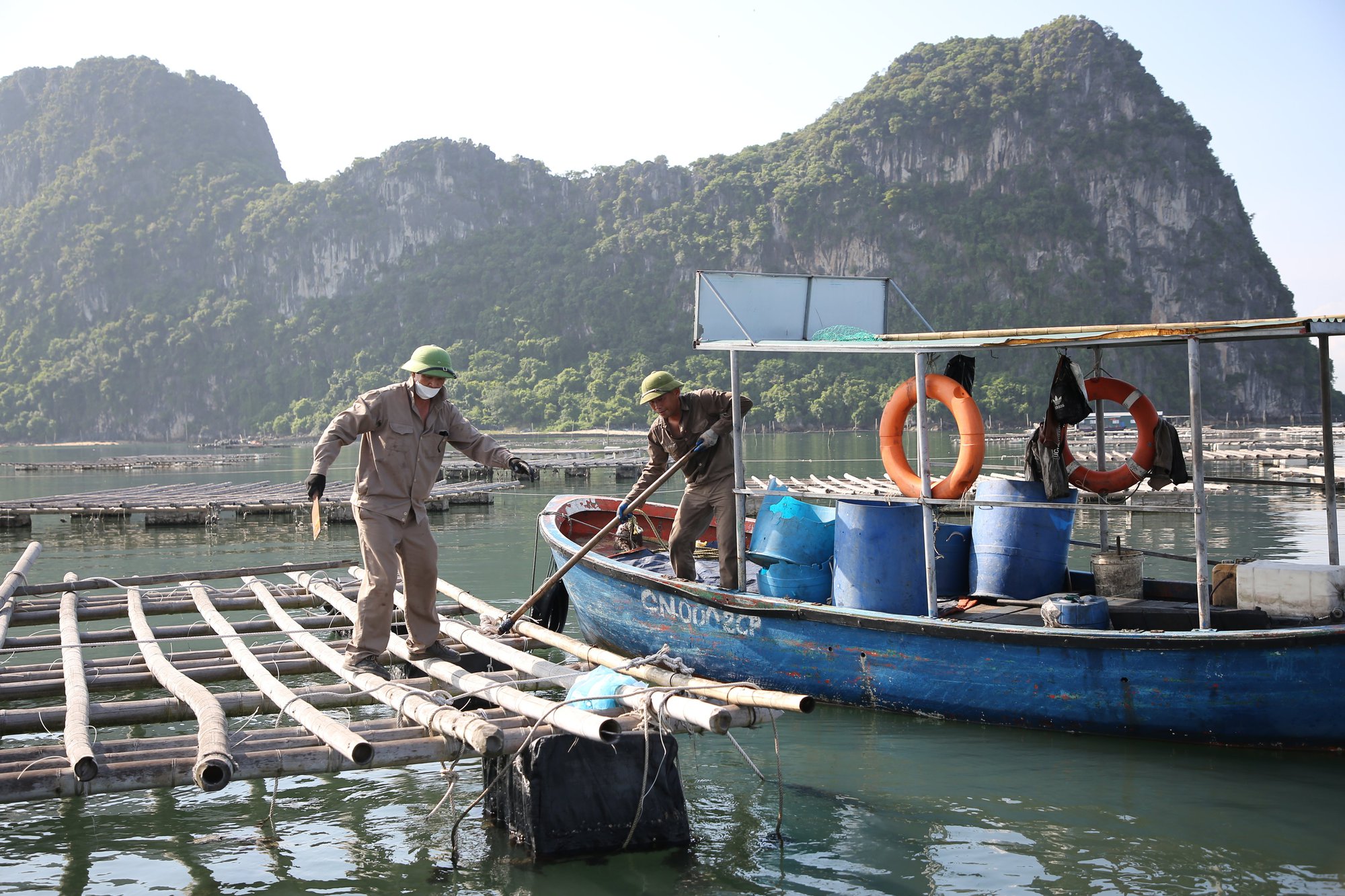 Vịnh Bái Tử Long