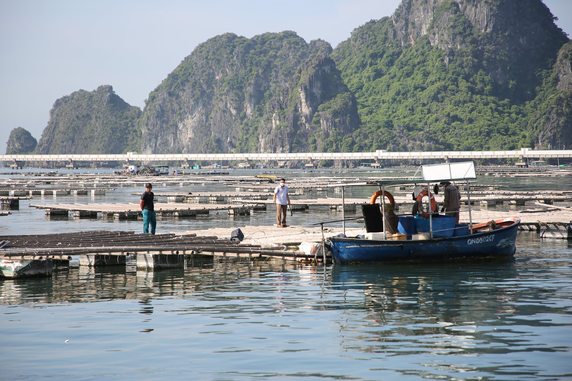 Quảng Ninh: Trong tháng 2 xử lý các hộ chống đối trên vịnh Bái Tử Long - Ảnh 2.