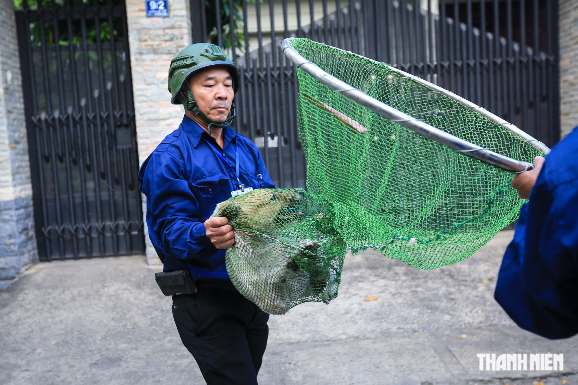 Hớt hãi ôm thú cưng bỏ chạy khi gặp đội bắt chó thả rông ở TP.HCM - Ảnh 8.