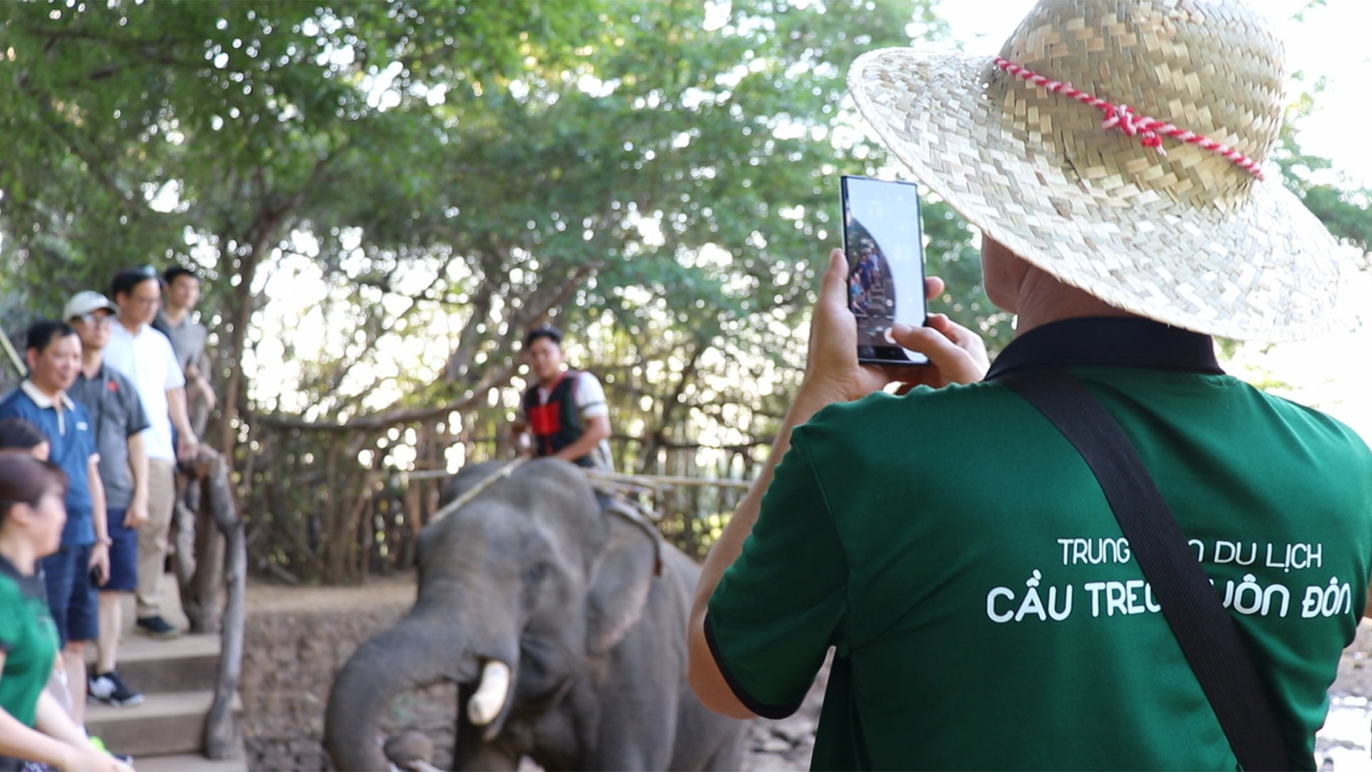 Chính thức dừng dịch vụ cưỡi voi ở Đắk Lắk: khách du lịch, nài voi nói gì?  - Ảnh 1.