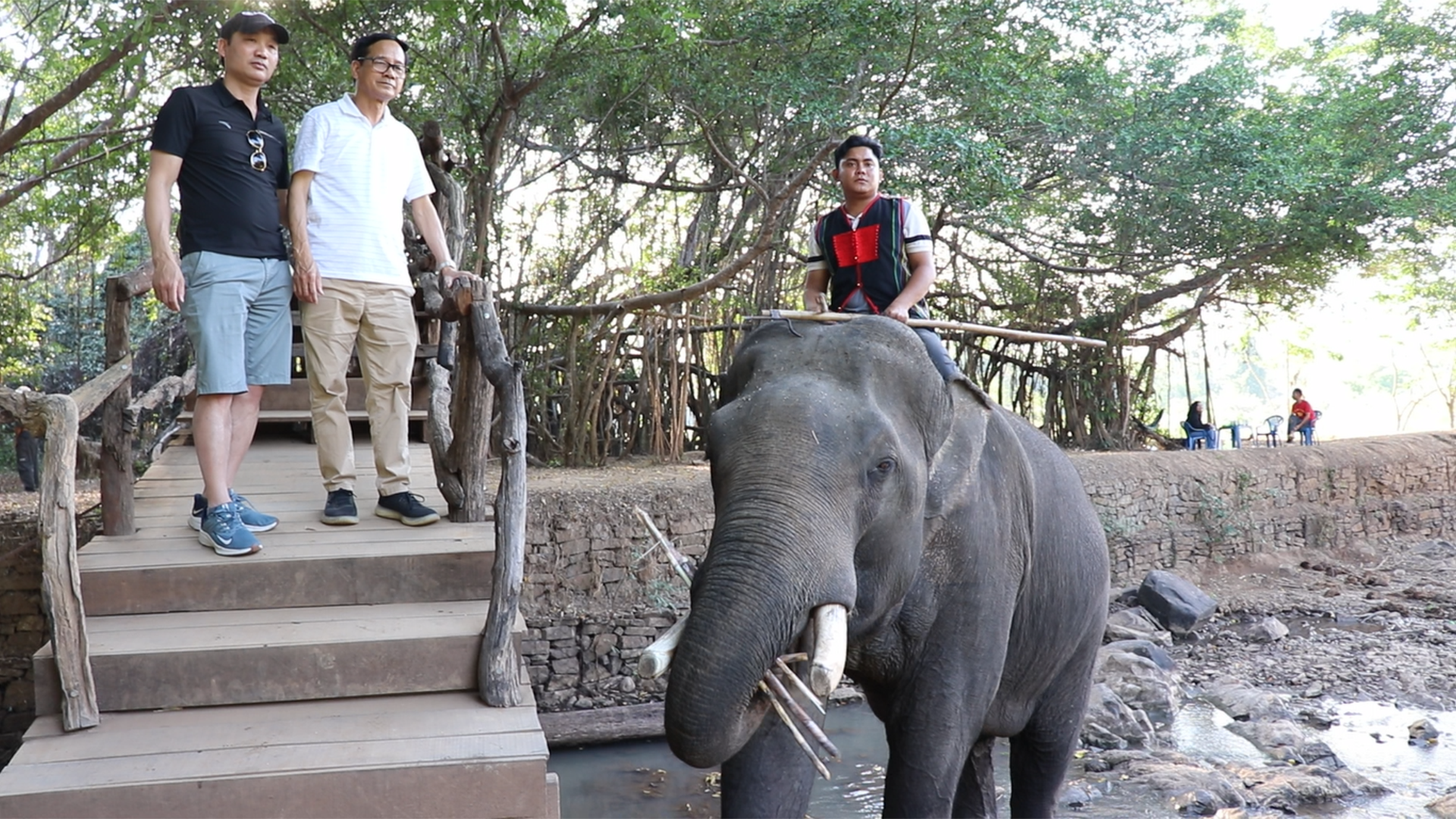 Chính thức dừng dịch vụ cưỡi voi ở Đắk Lắk: khách du lịch, nài voi nói gì?  - Ảnh 4.
