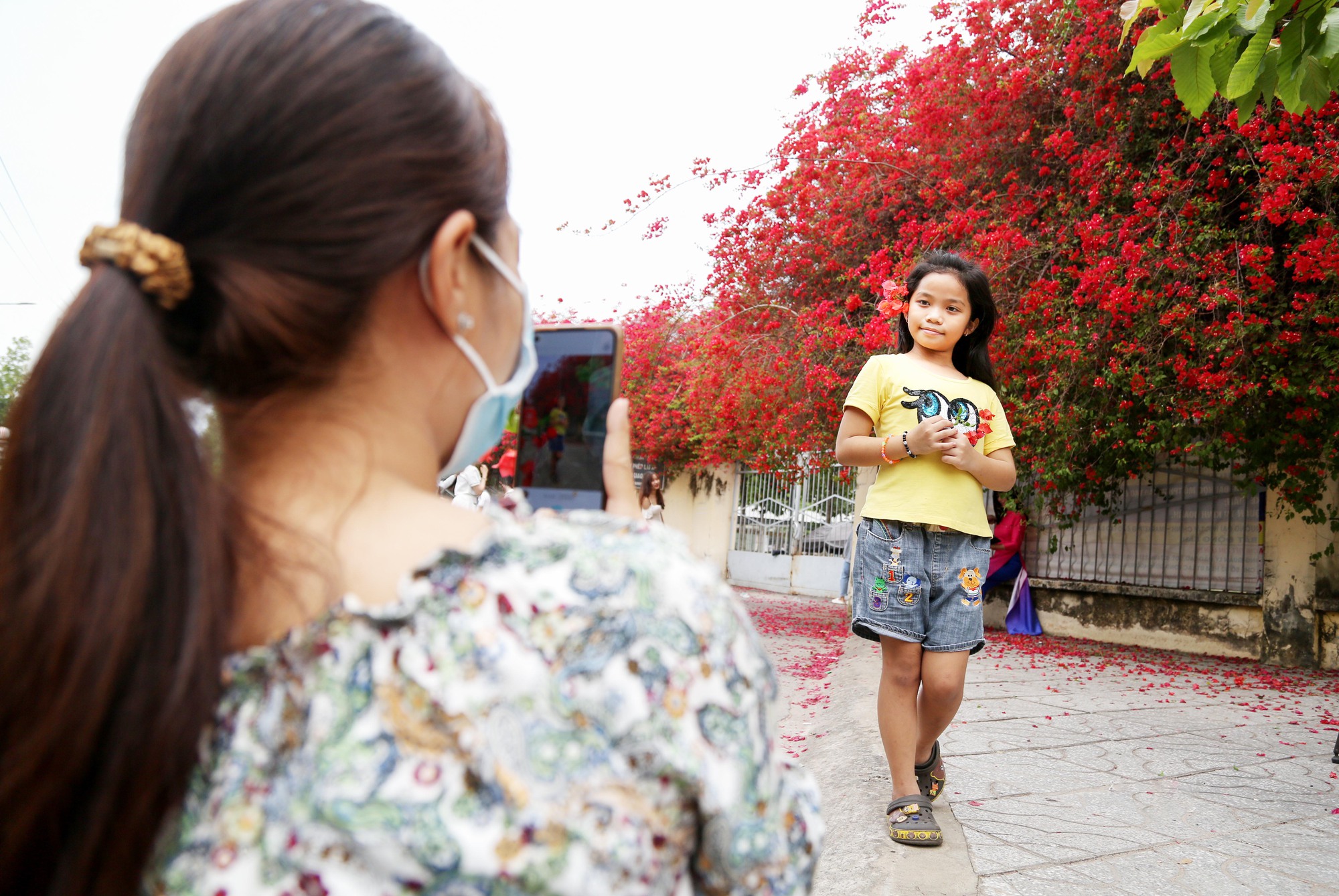 Giới trẻ hào hứng &quot;check in&quot; giàn hoa giấy trước cổng trường hot nhất Tây Ninh - Ảnh 12.