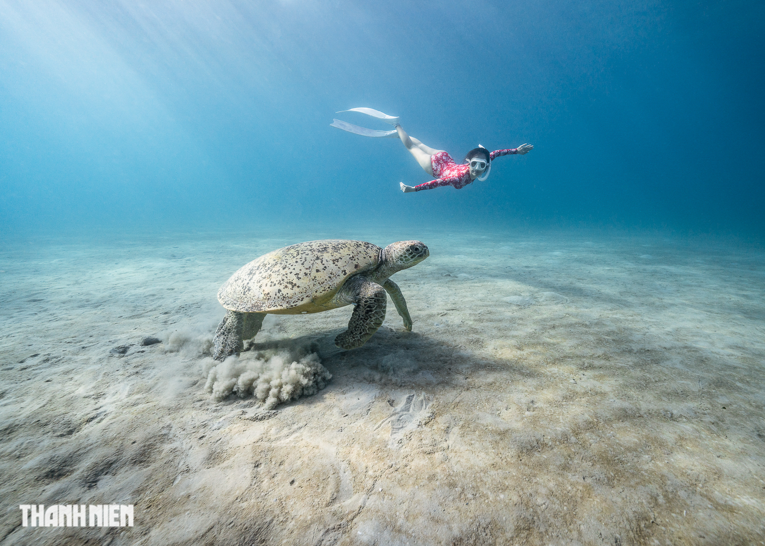 'Kỳ thú': Nhiếp ảnh gia Việt mê săn ảnh dưới đại dương - Ảnh 1.