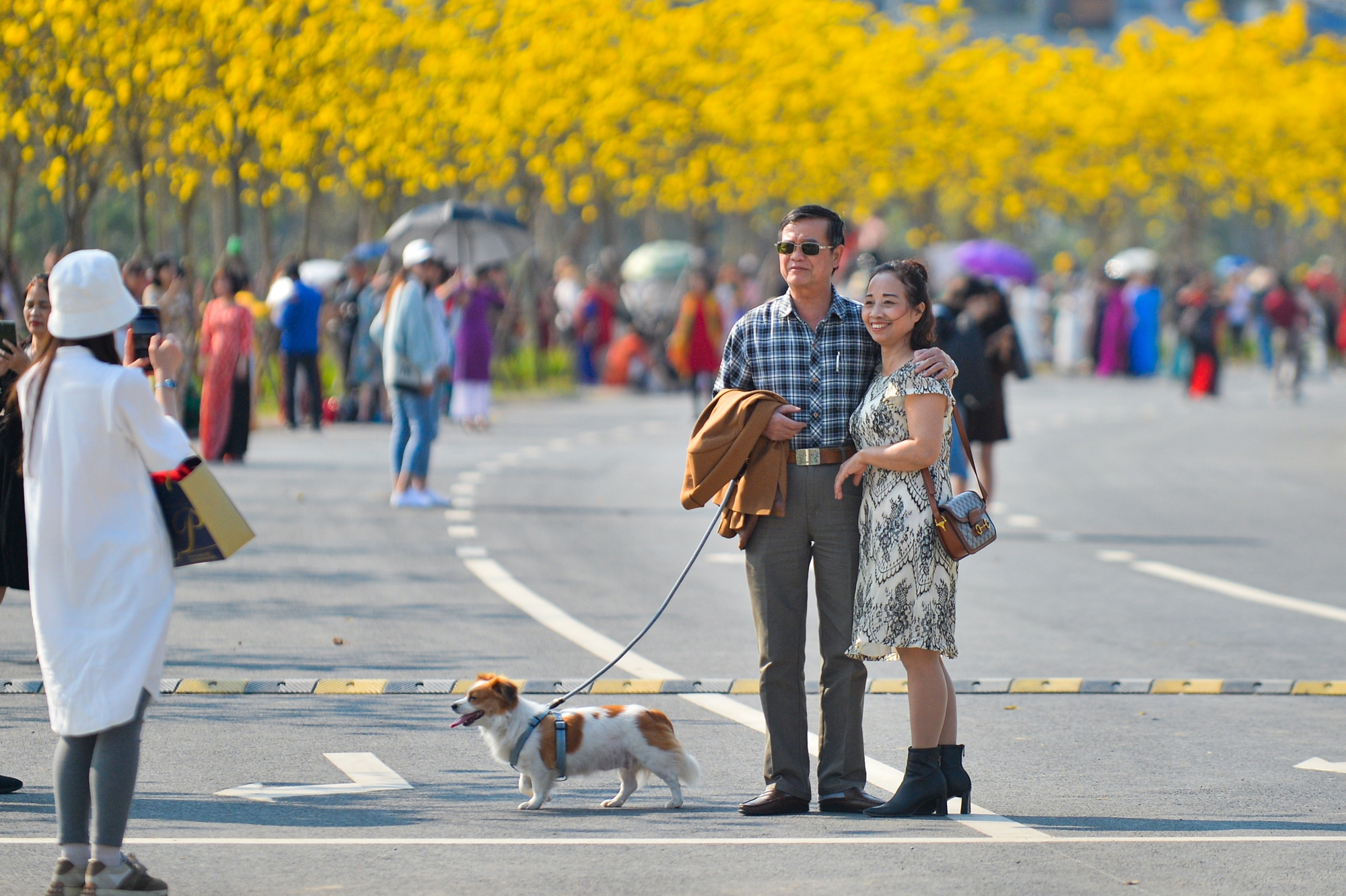 'Biển người' chen chân chụp ảnh tại con đường hoa vàng hot nhất Hà Nội - Ảnh 6.