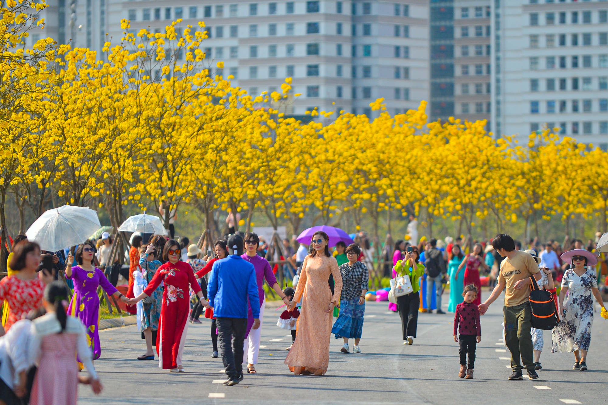 'Biển người' chen chân chụp ảnh tại con đường hoa vàng hot nhất Hà Nội - Ảnh 3.