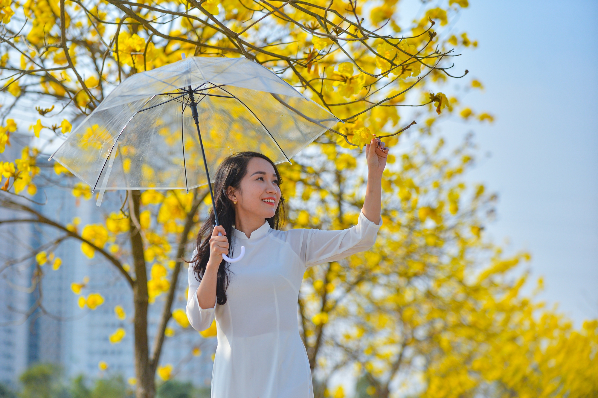 'Biển người' chen chân chụp ảnh tại con đường hoa vàng hot nhất Hà Nội - Ảnh 5.