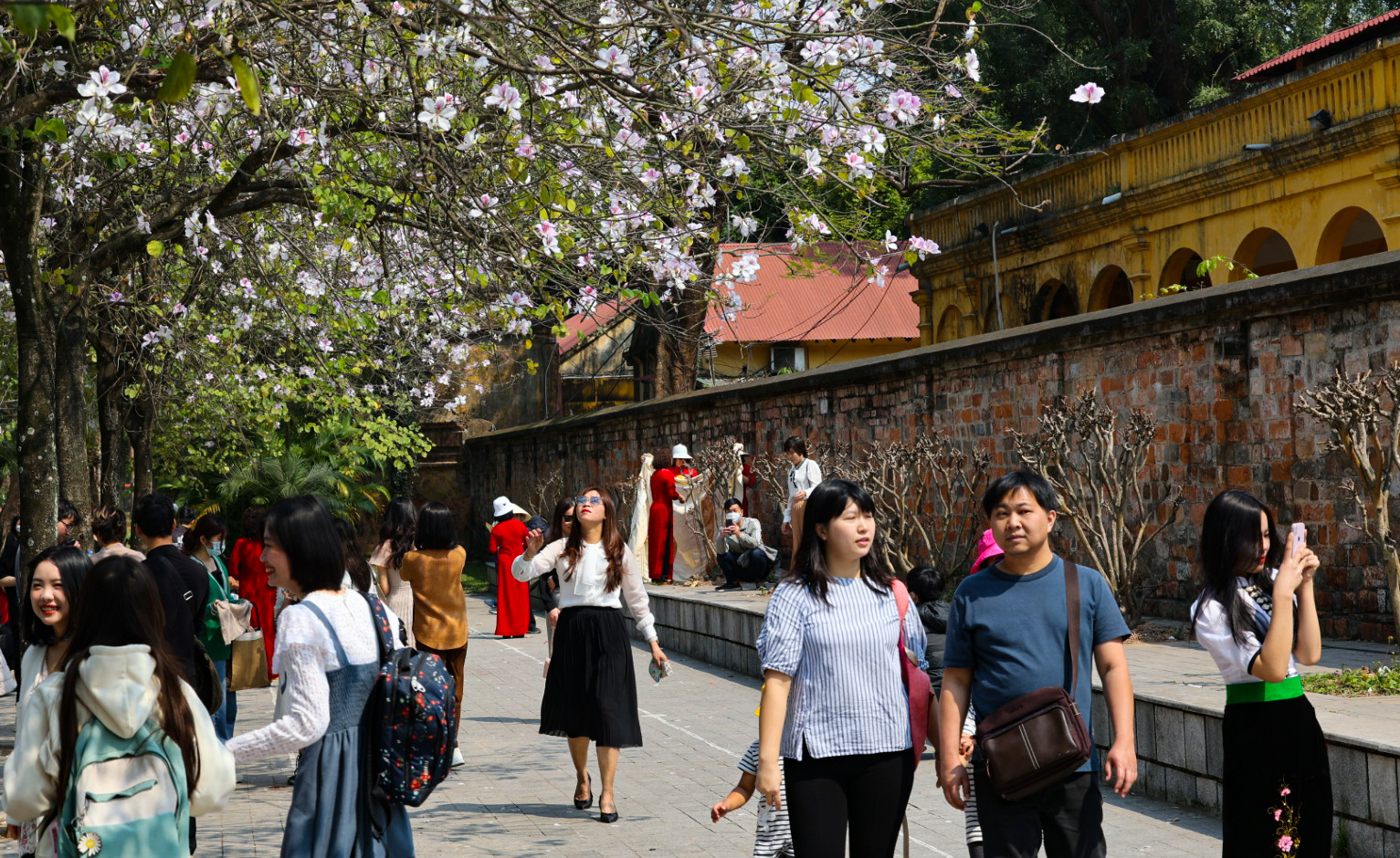 Người dân ngỡ ngàng, phải quay xe ra về vì trót nhận &quot;đi chụp ảnh hoa ban'' - Ảnh 6.