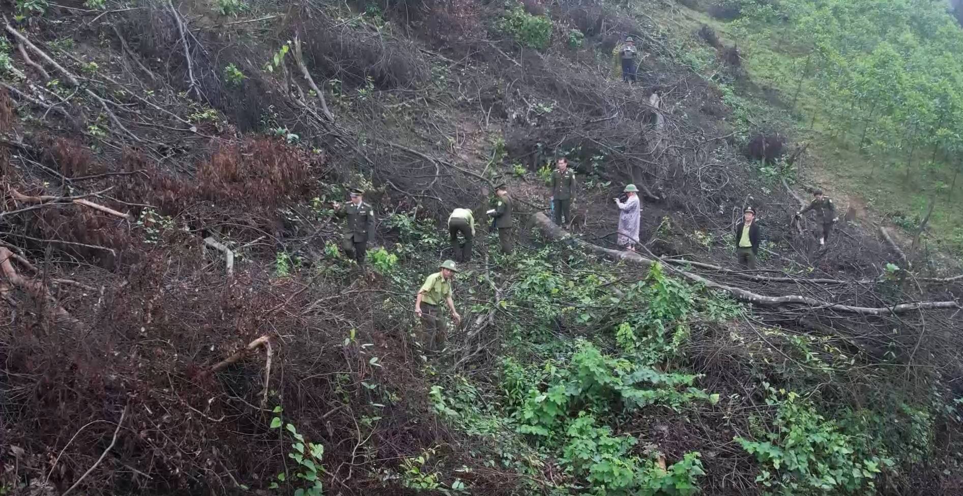 Sẽ kiểm điểm trách nhiệm kiểm lâm sau vụ phá rừng ở Quảng Bình - Ảnh 1.