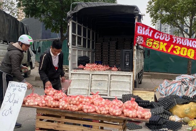 VIPA cảnh báo không tiêu thụ trứng gà 'giải cứu' - Ảnh 1.