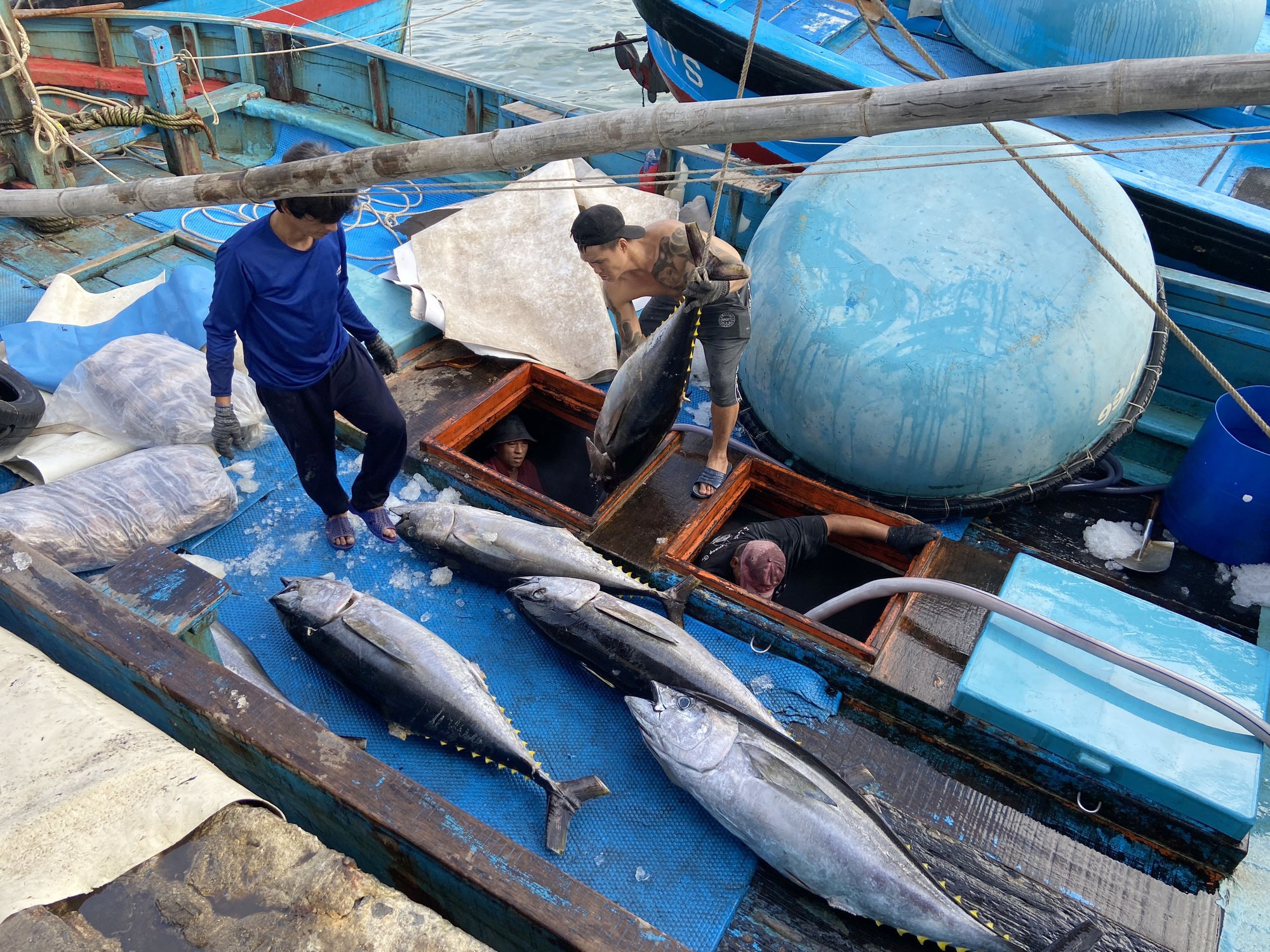 Tàu câu cá ngừ đại dương tấp nập cập cảng lớn nhất Nam Trung bộ - Ảnh 7.
