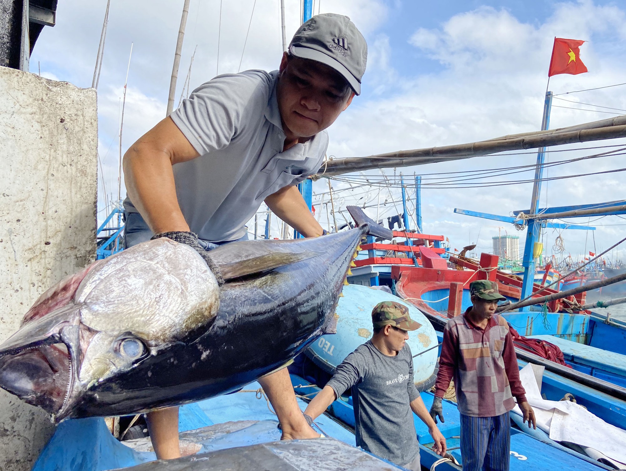 Khánh Hòa: Mãn Nhãn Cá Ngừ Đại Dương Tấp Nập Cập Cảng Cá Hòn Rớ