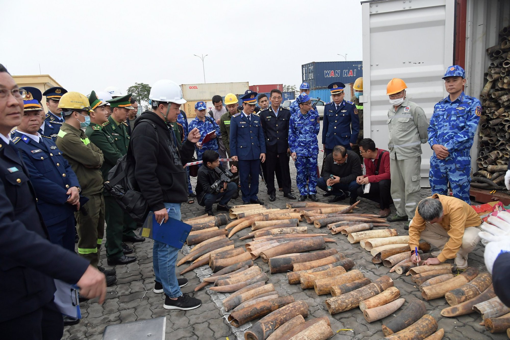 Hải Phòng: Phát hiện, thu giữ gần nửa tấn ngà voi nhập lậu vào Việt Nam - Ảnh 1.