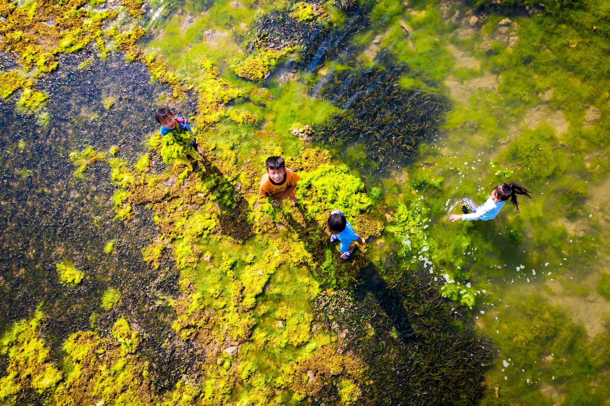 Mùa rêu nhuộm xanh bờ biển Ninh Thuận - Ảnh 1.