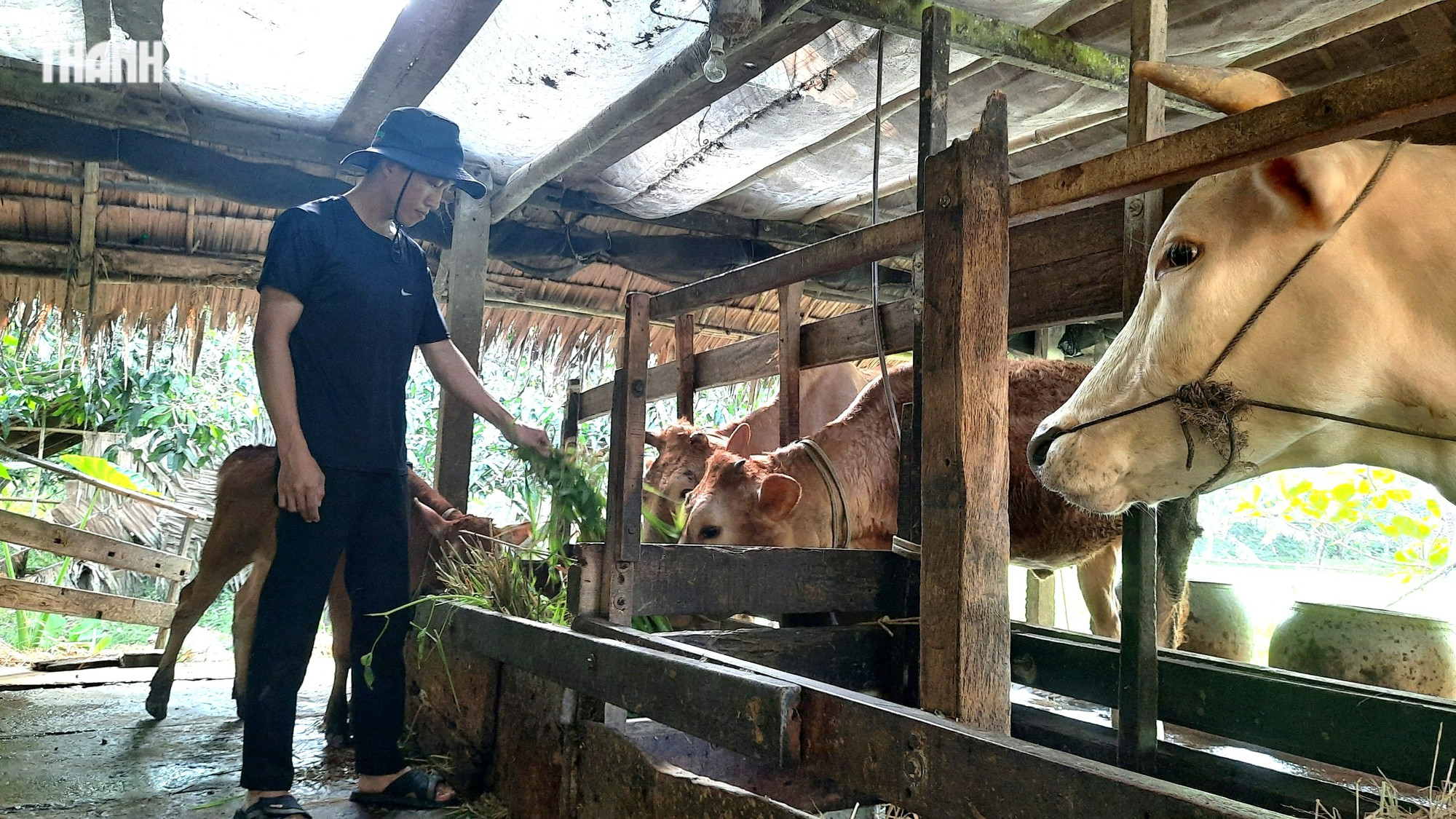 Đảng viên, kỹ sư trẻ tình nguyện viết đơn xin lên đường bảo vệ Tổ quốc - Ảnh 1.