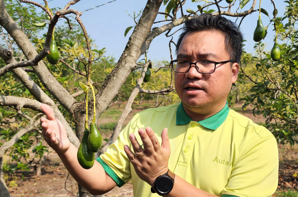 Cùng giao lưu với những người trẻ tài năng - Ảnh 2.