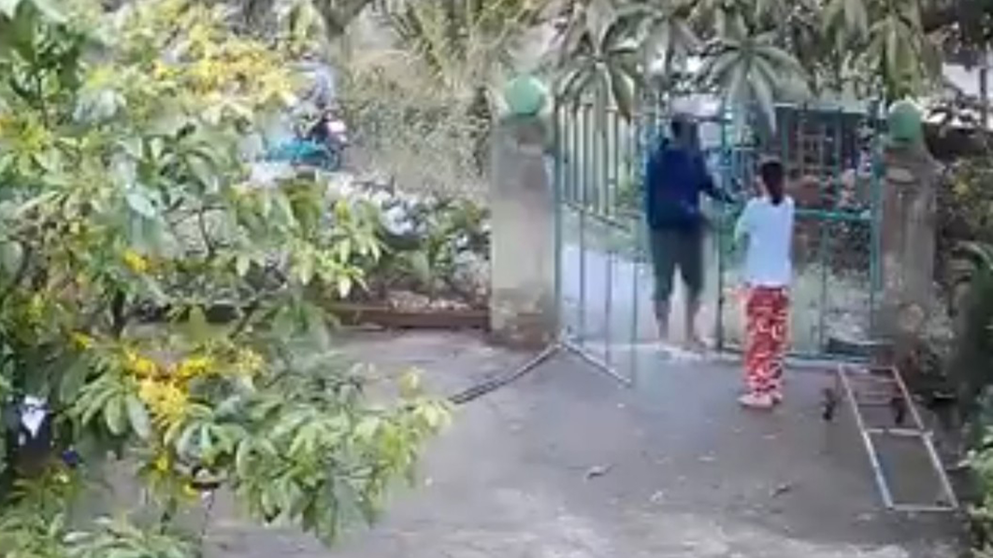 Người đàn ông xô cửa vào tay bà C. để xông vào sân bắt chó
