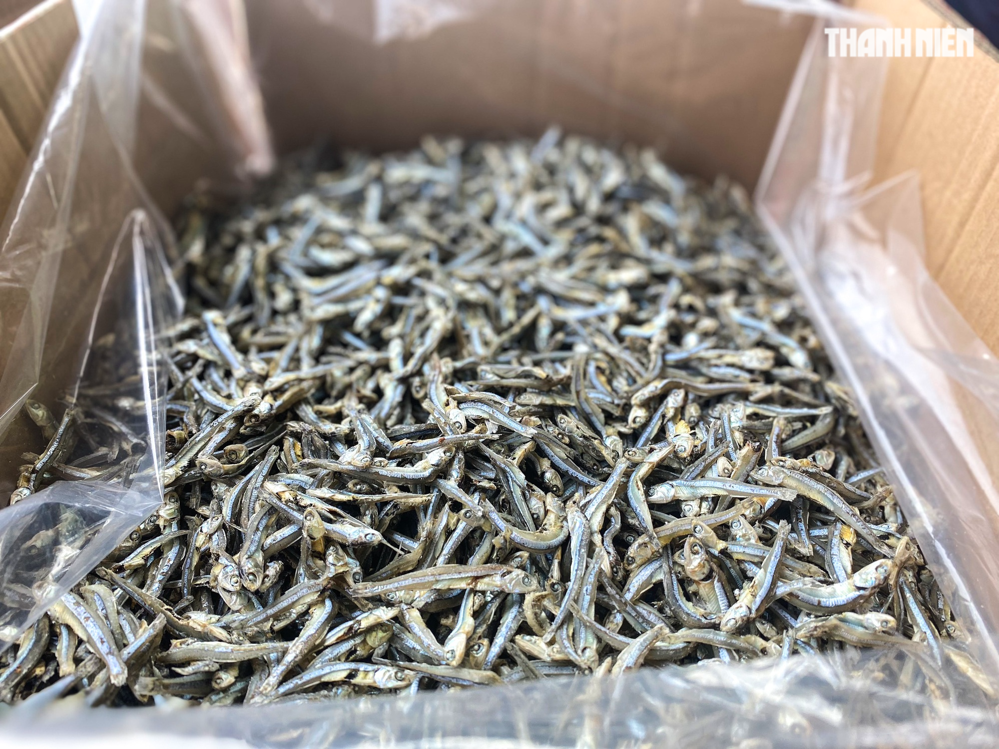 Mùa phơi cá cơm ở Quảng Ngãi - Ảnh 10.