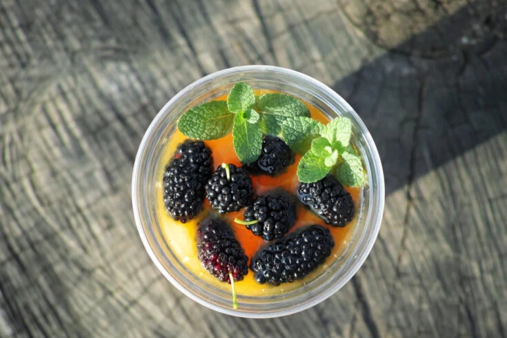 Quả dâu tằm ngâm đường có tác dụng gì? Quả dâu tằm ngâm đường có tác dụng gì?