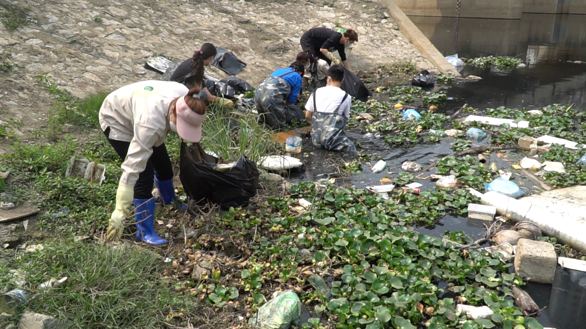 Nhóm bạn trẻ ngâm mình trong ‘dòng sông rác’ giữa trưa để giúp Hà Nội xanh hơn - Ảnh 2.