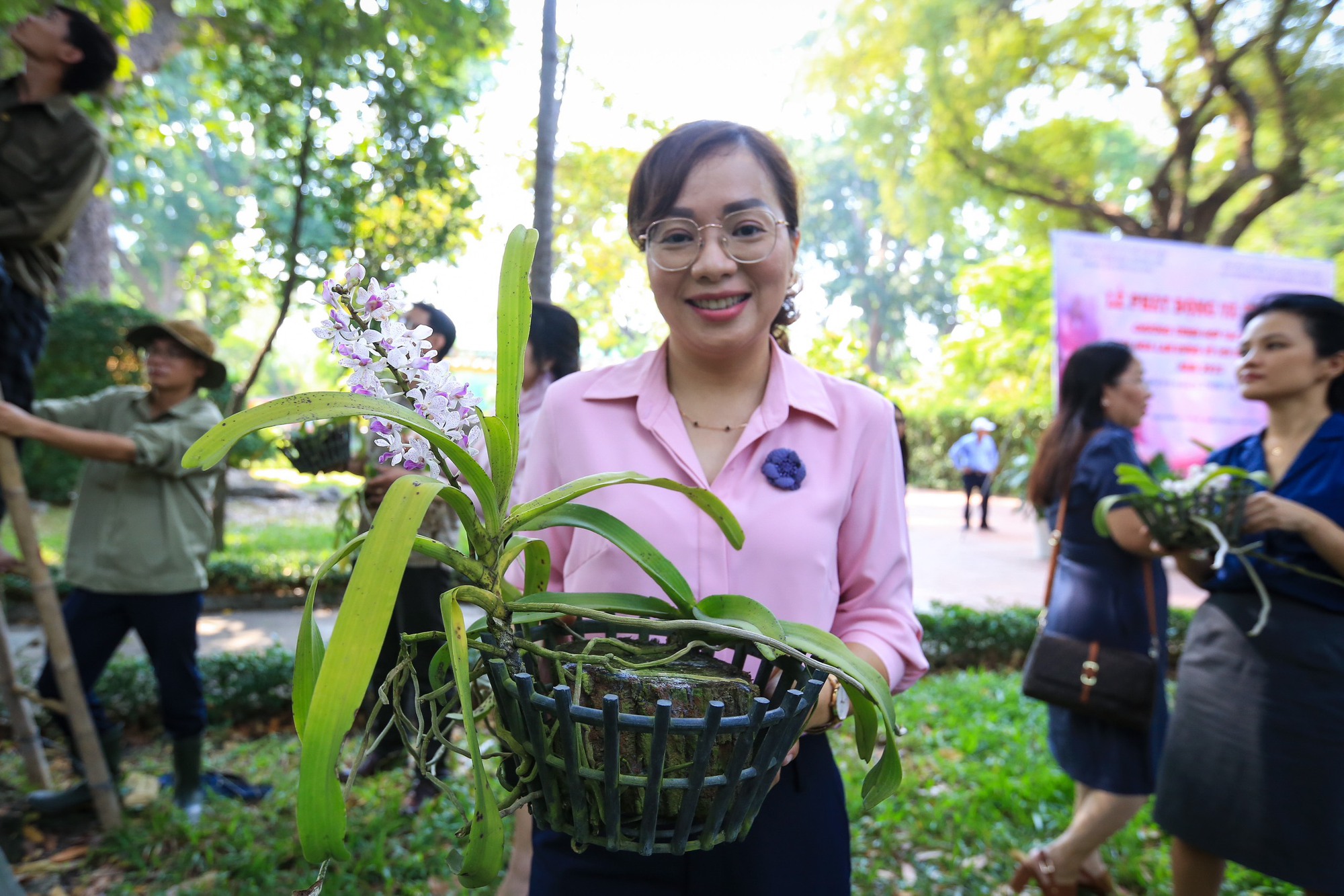Lưu giữ giống hoa lan rừng quý hiếm trên cây cổ thụ ở Thảo Cầm Viên Sài Gòn - Ảnh 1.
